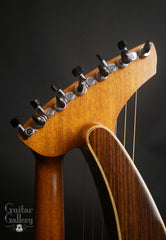Sedgwick Harp guitar headstock back