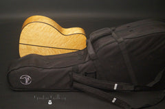 Serracini SD 00 guitar hybrid case