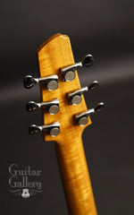 Stahm guitar headstock back