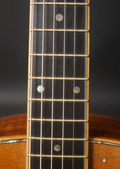 Petros guitar fretboard