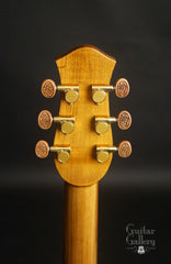 Petros Tunnel 13 guitar headstock back