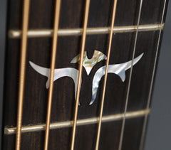 Taylor Guitar: Used Brazilian Rosewood 710 Brazilian