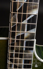 Taylor RNSM LTD Guitar fretboard