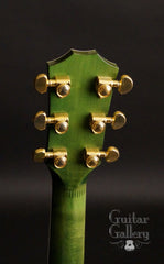 Taylor RNSM LTD 615ce Guitar headstock back