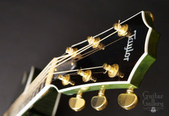 Taylor RNSM LTD 615ce Guitar headstock