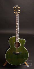 Taylor Rick Nielsen Signature Model LTD Guitar RNSM 615CE Jumbo Green