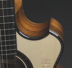 Doerr guitar cutaway