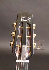 Thorell FV Studio Archtop