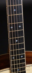 Goodall THROM Guitar (2014)