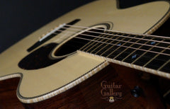 Goodall THROM Guitar (2014)