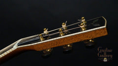 Goodall THROM Guitar (2014)