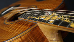 H.G.Leach tiger theme guitar