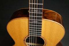 Tippin Bravado Guitar with Celtic inlays