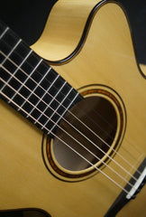 Traugott R cutaway guitar detail
