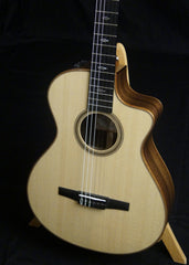 Taylor 712ce-N guitar for sale