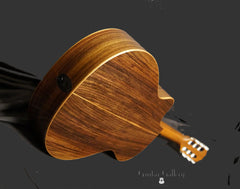 Taylor 712ce-N guitar glam shot bacl