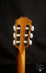 Taylor 712ce-N guitar back of headstock