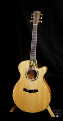 L J Williams Ancient Kauri Whitebait Tui guitar with Sea Turtle inlay at Guitar Gallery