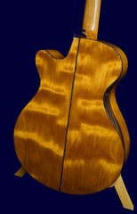 L J Williams Ancient Kauri Whitebait Tui guitar with Sea Turtle inlay beautiful back