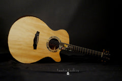 L J Williams Ancient Kauri Whitebait Tui guitar with Sea Turtle inlay glam shot