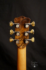 L J Williams Ancient Kauri Whitebait Tui guitar with Sea Turtle inlay tuners