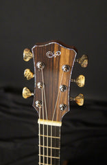 L J Williams Ancient Kauri Whitebait Tui guitar with Sea Turtle inlay headstock