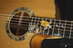 L J Williams Ancient Kauri Whitebait Tui guitar with Sea Turtle inlay