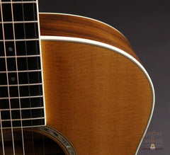 Taylor GS Guitar