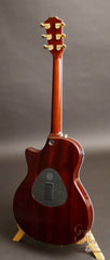 Taylor T5 custom guitar