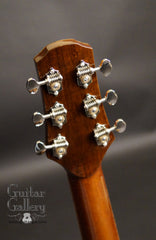 Tippin Forte guitar headstock back