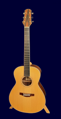 Tippin Crescendo guitar for sale