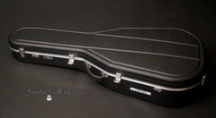 Tippin guitar Hiscox case
