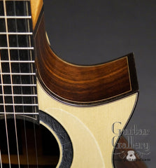 Sands guitar cutaway