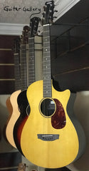 Rainsong V-OM1000NSX 12 fret guitar 