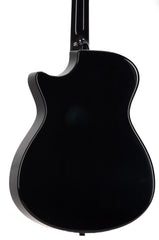 RainSong V-OM1000NSX guitar back