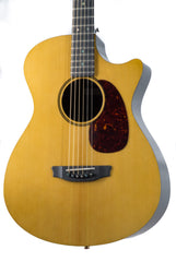 RainSong V-OM1000NSX guitar at Guitar Gallery