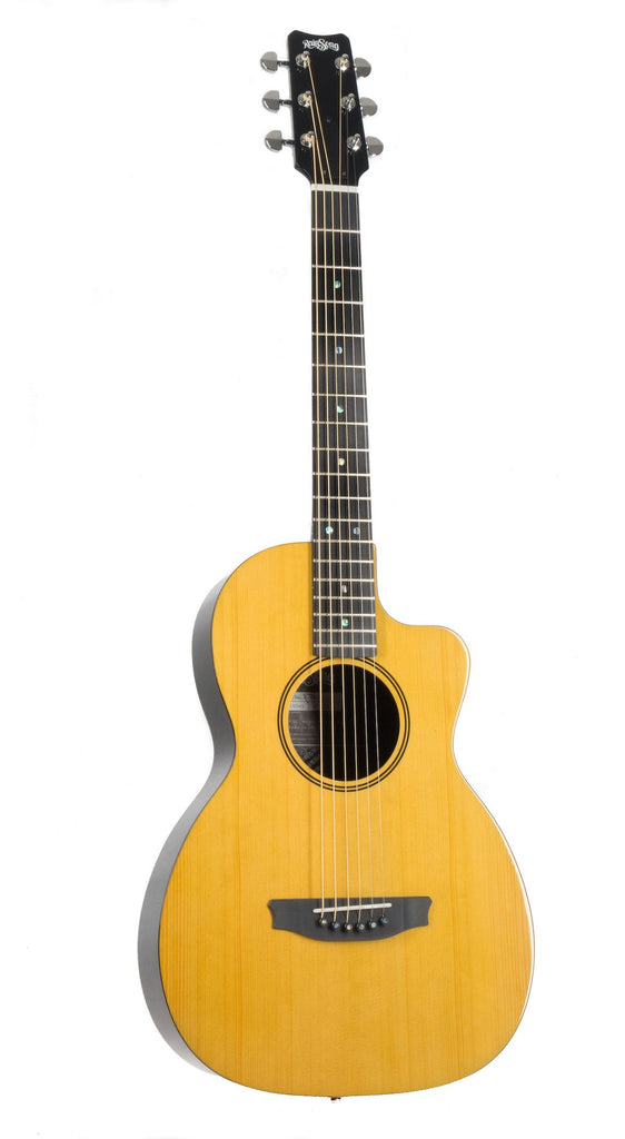 Rainsong clearance parlor guitar