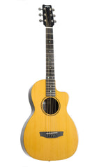 RainSong V-PA1100NS parlor guitar