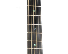 RainSong V-PA1100NS parlor guitar fretboard