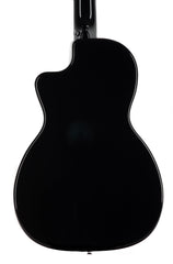 RainSong V-PA1100NS parlor guitar back