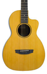 RainSong V-PA1100NS parlor guitar top