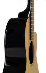 RainSong V-PA1100NS parlor guitar detail
