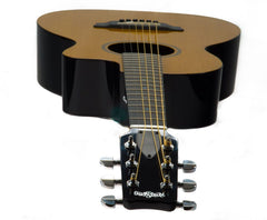 RainSong V-PA1100NS parlor guitar at Guitar Gallery