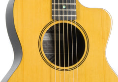 RainSong V-PA1100NS parlor guitar for sale