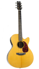 Rainsong V-WS1000N2X-SFT guitar at Guitar Gallery