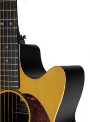 Rainsong V-WS1000N2X guitar cutaway