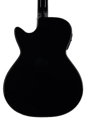 Rainsong V-WS1000N2X guitar back