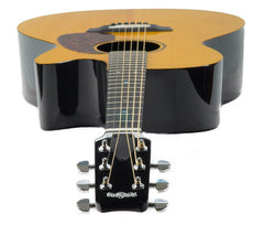 Rainsong V-WS1000N2X guitar headstock