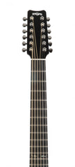 Rainsong 12 string guitar headstock