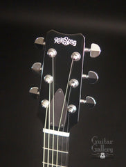 Rainsong Vintage series guitar headstock